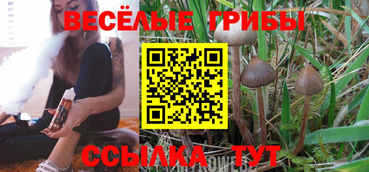 Галлюциногенные грибы мухоморы Наро-Фоминск